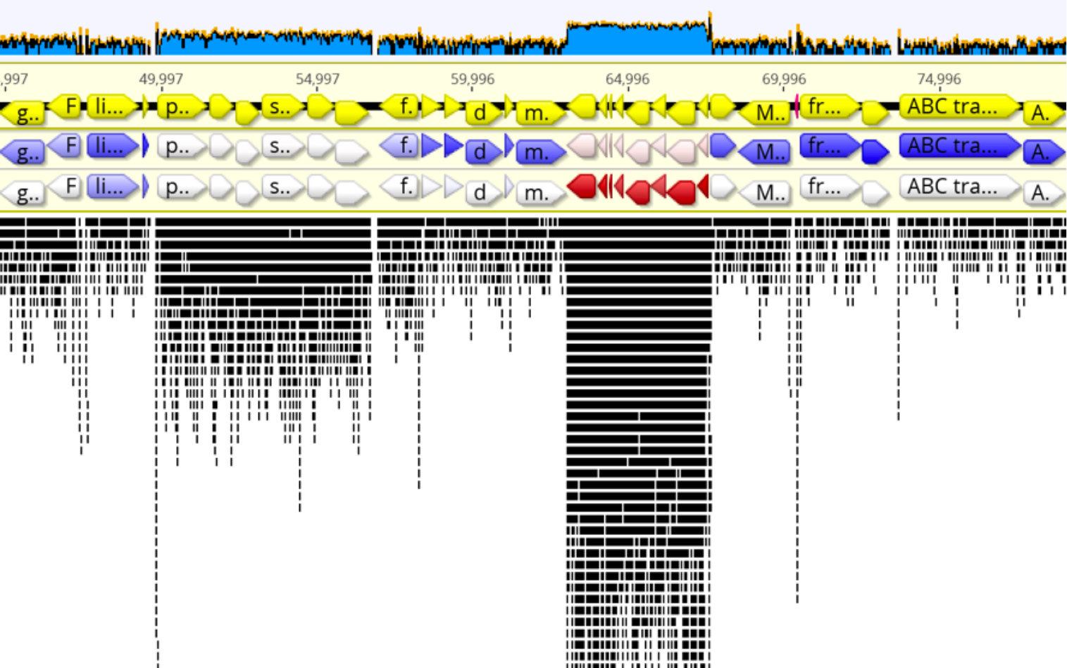 NGS Analysis and Genomics