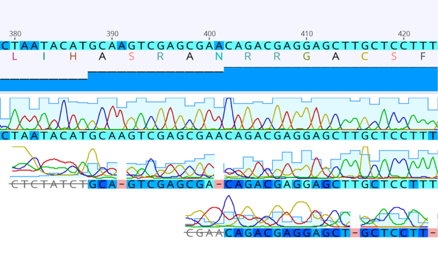 Sequence and Chromatogram Analysis