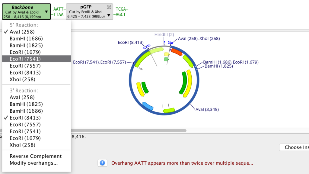 Simulate molecular cloning operations