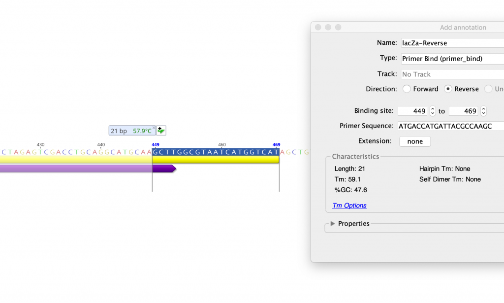 Elegant primer design tool