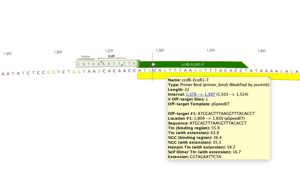 Primer specificity testing