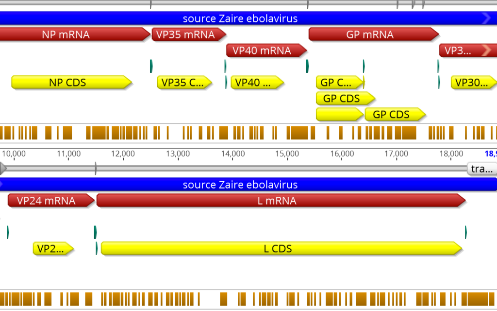 Automatic genome annotations