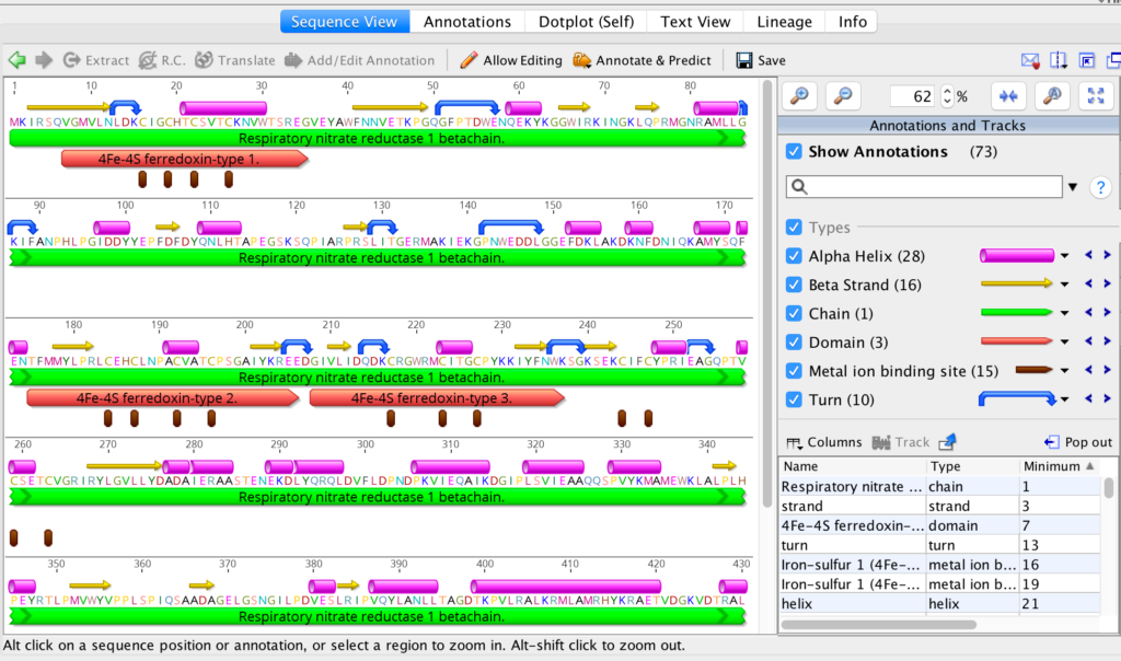 Real-time sequence prediction