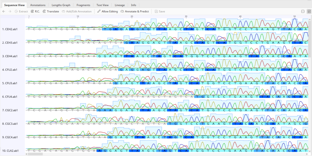 sanger-sequence-analysis
