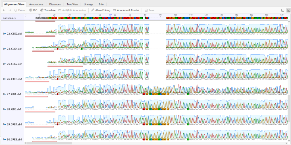 sanger-sequence-analysis