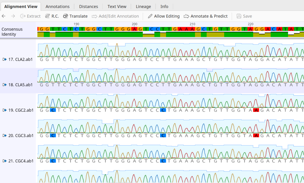 sanger-sequence-analysis