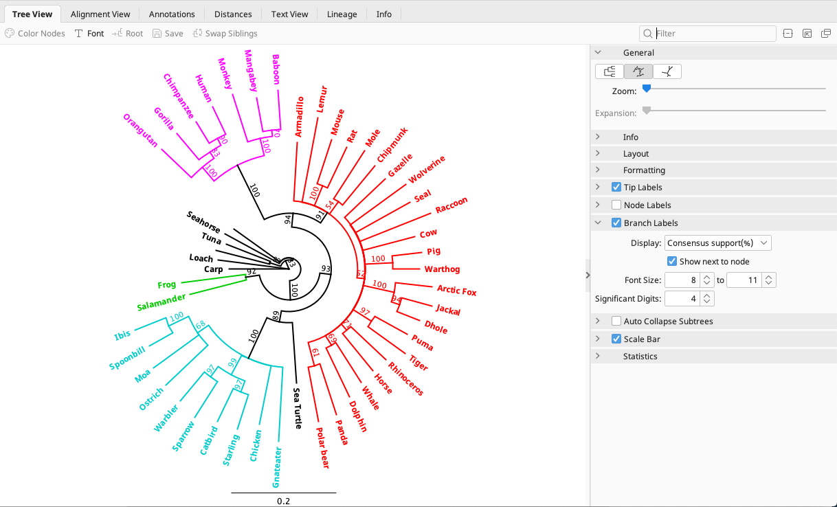 phylogenetics