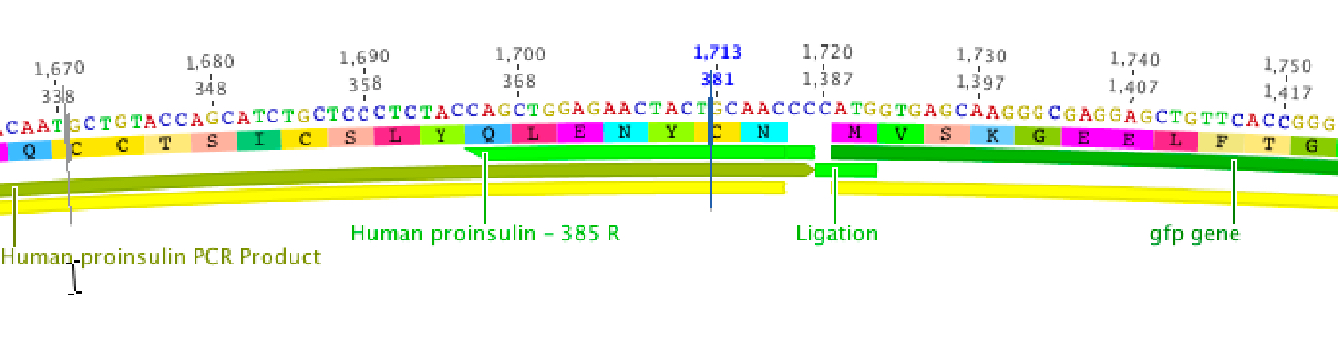 Simulate cloning operations in one-step