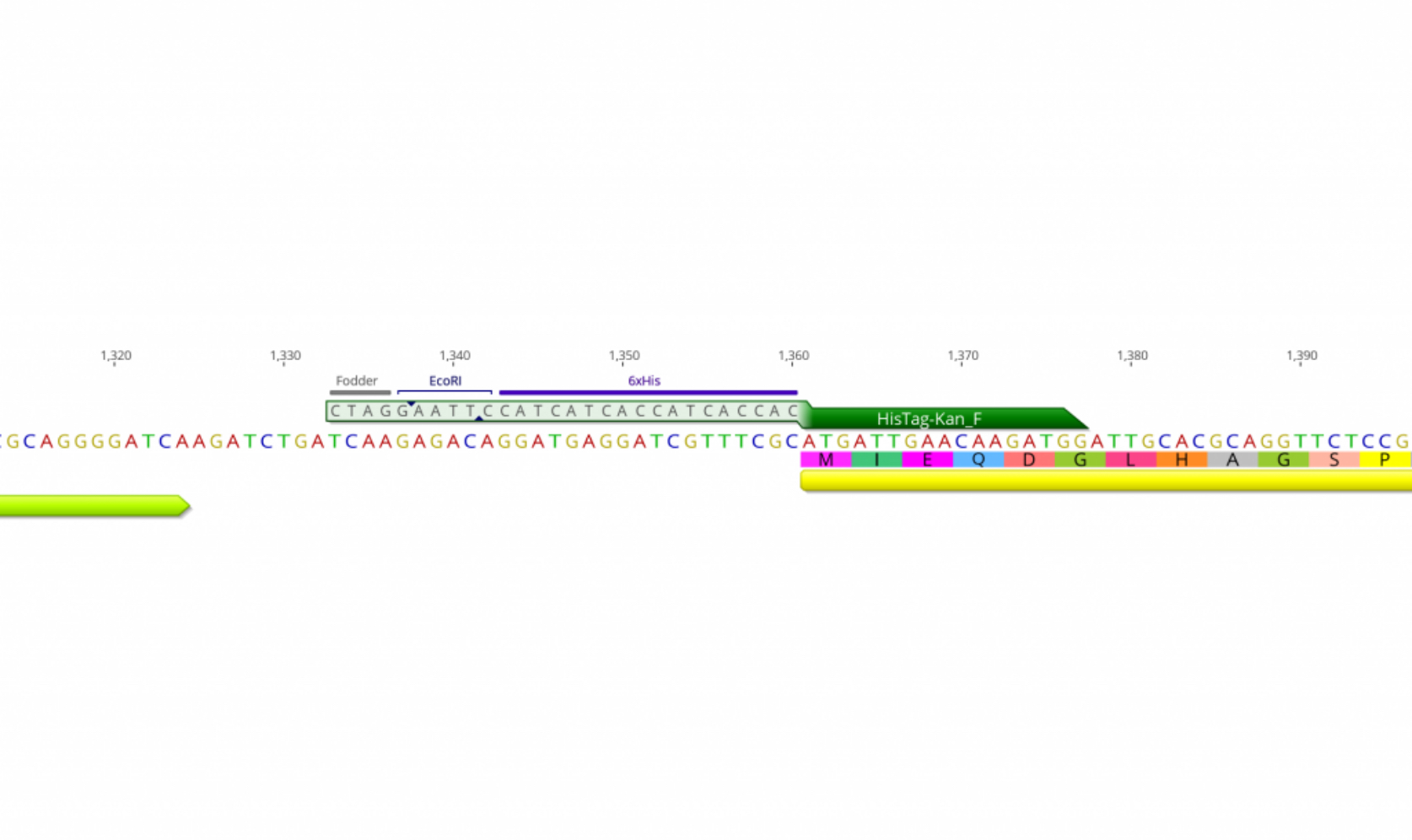 Powerful Primer Annotation Display