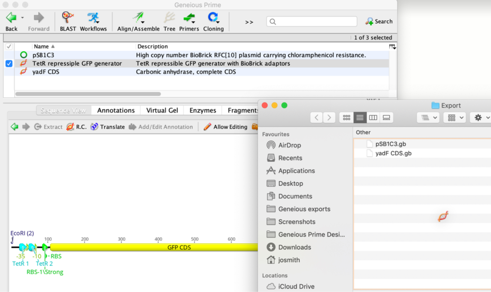 Drag & Drop Sequence Export