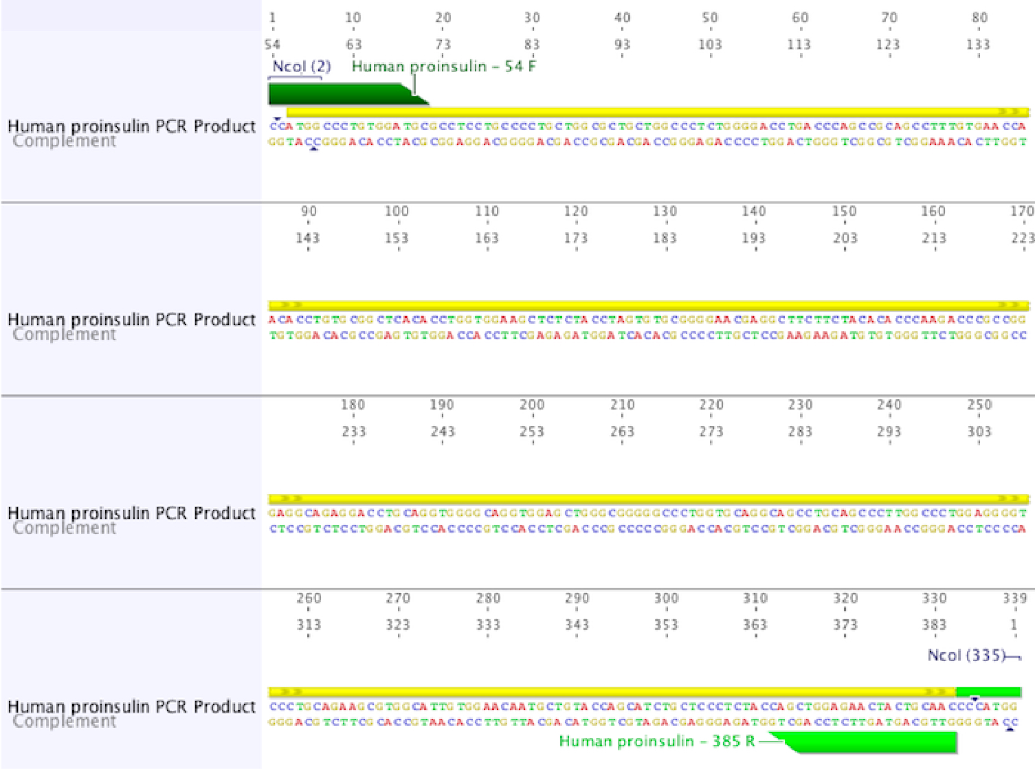 Test primers against any sequence before your order