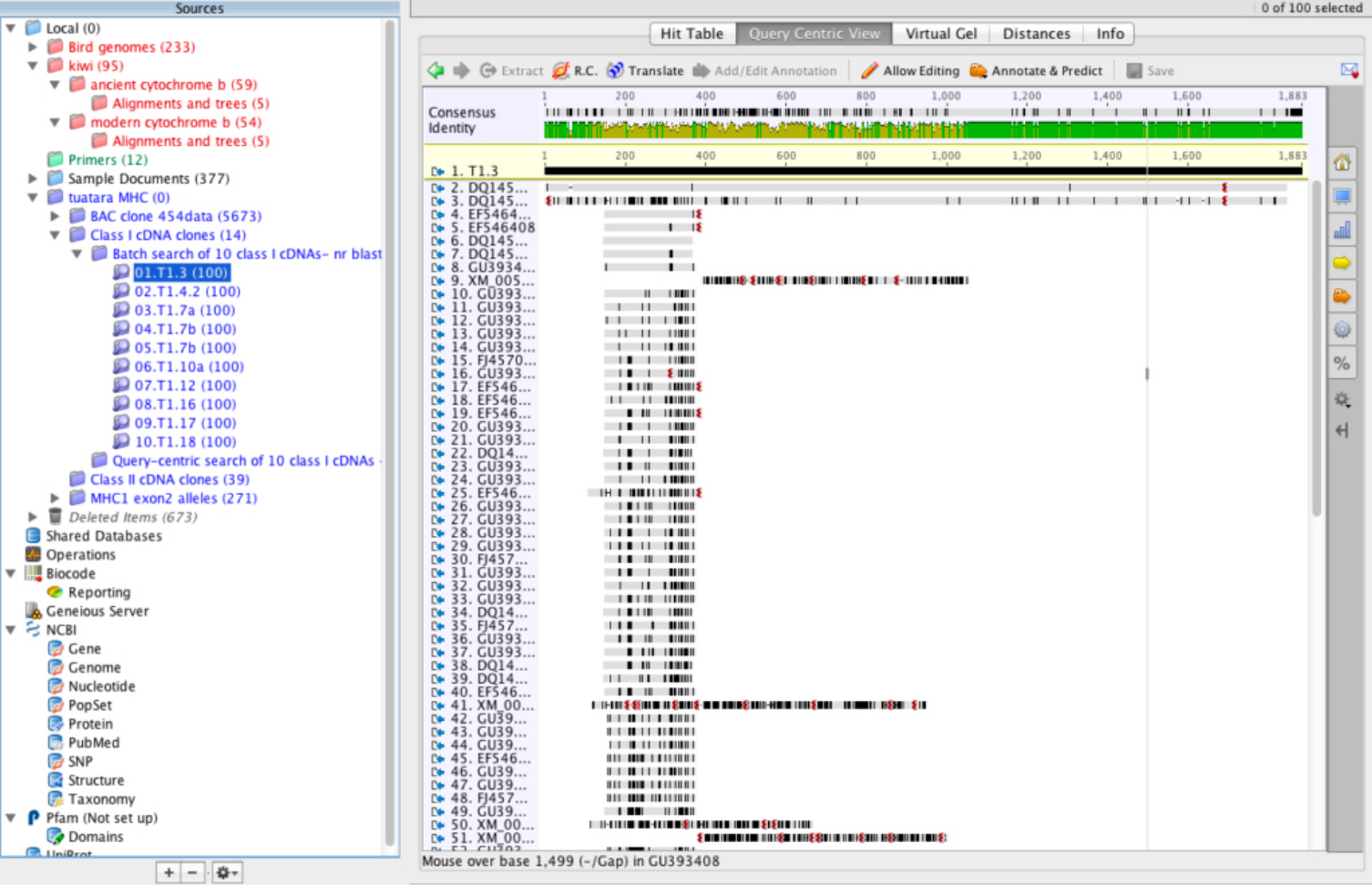 Intuitively search your own database